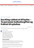 Sea King rykket ut til hytte: - To personer kullosforgiftet og er innlagt på sykehus