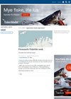 Finnmark: Fiskebåt sank